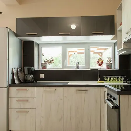 Petritis Nea Iraklitsa