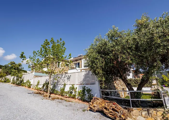 Petritis 别墅 Nea Iraklitsa