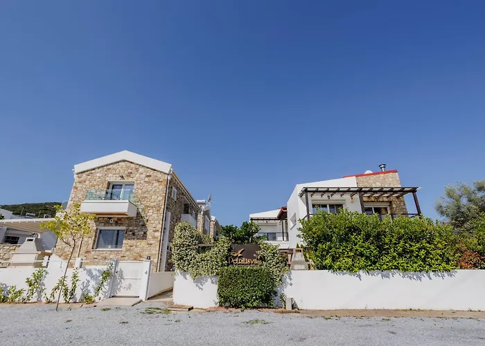 别墅 Petritis Nea Iraklitsa