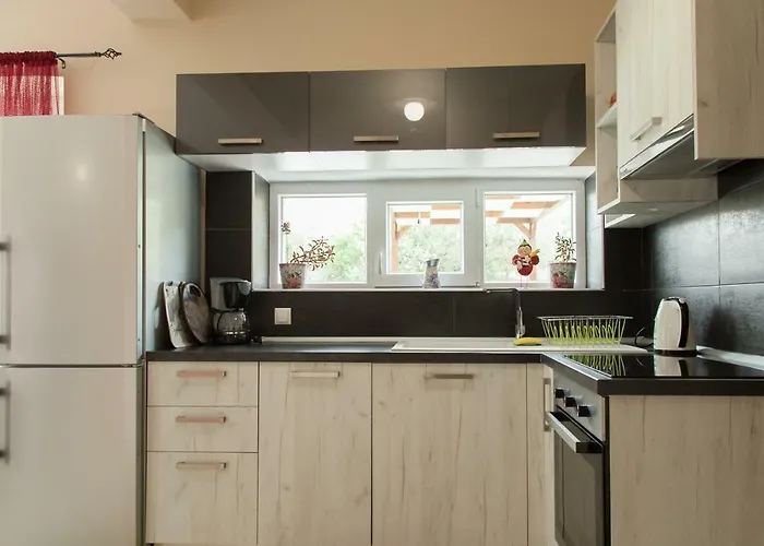 Petritis Nea Iraklitsa